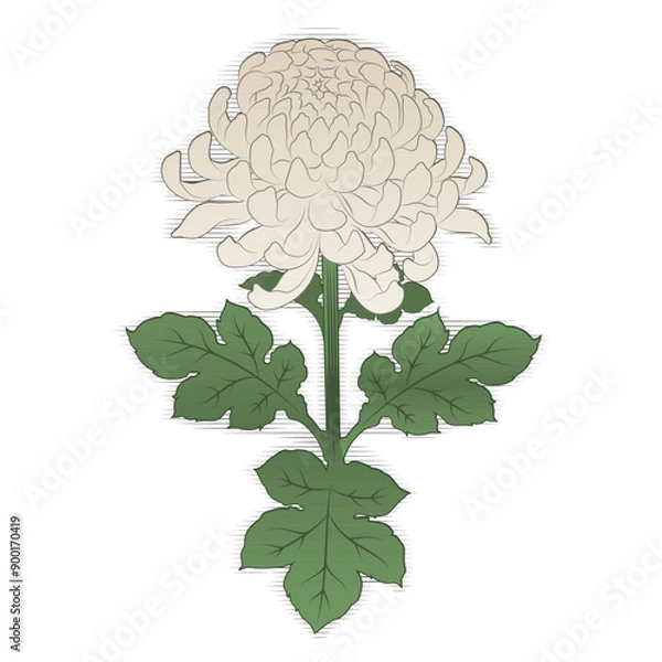 Fototapeta Retro Style Yellow Chrysanthemum Illustration