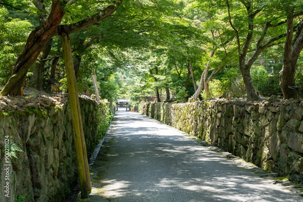 Obraz 京都　夏の宇治