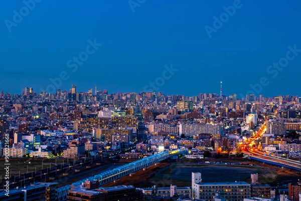 Fototapeta 東京都心を望む夜景