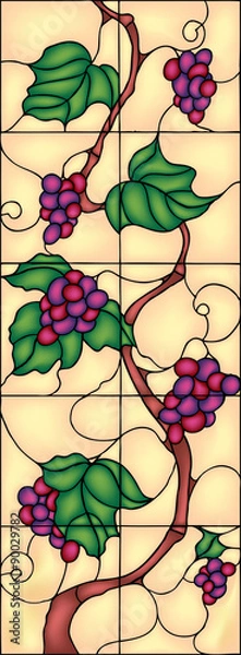 Fototapeta Beautiful grape with leaves, decor idea, vector illustration in stained glass style