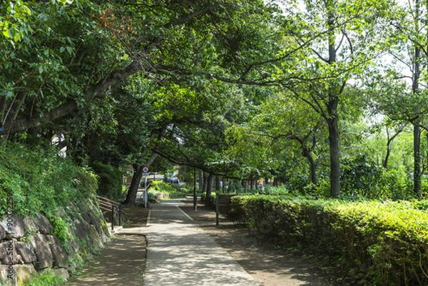 Obraz 洗足池公園