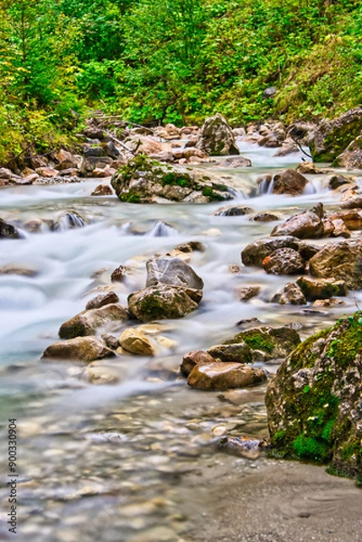 Obraz stream in the forest