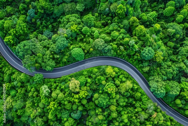 Obraz An aerial view of a winding road snaking through a dense green forest canopy