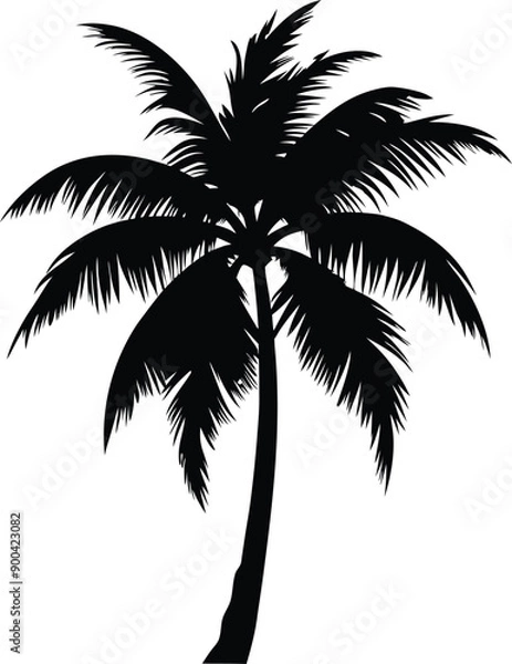 Fototapeta Palm tree silhouette