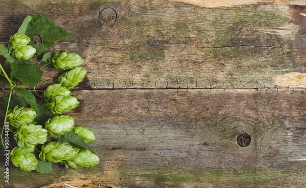 Obraz Fresh green hops on a wooden background