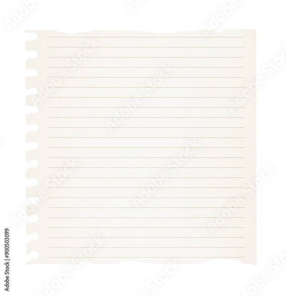 Obraz Ripped lined notepad paper isolated on transparent background