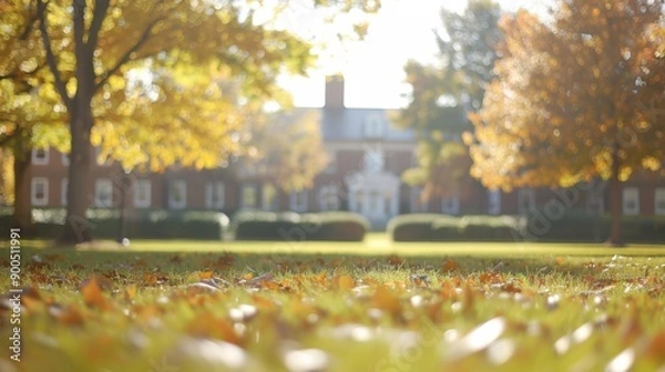Fototapeta Golden autumn leaves blanket the quad while sunlight filters through vibrant trees