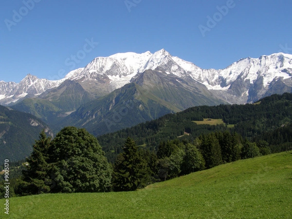 Fototapeta Mont Blanc widziany z Communailles latem