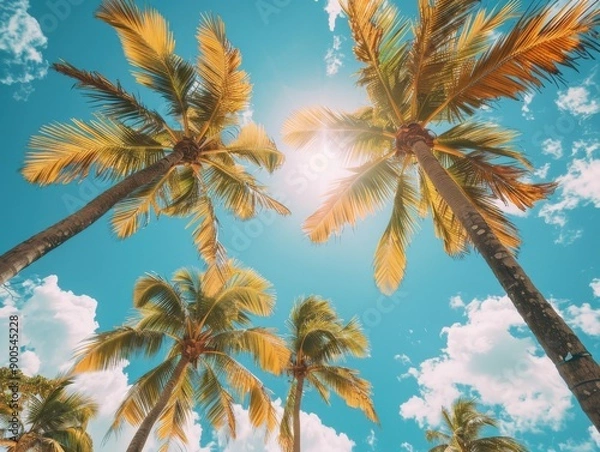 Fototapeta Sunlit palm trees against a bright blue sky with scattered clouds