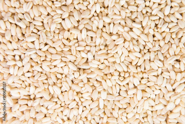 Fototapeta Wheat berries background, high resolution