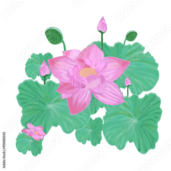 Obraz Lotus flower with buds and leaves on isolated background