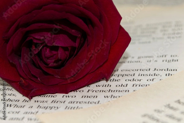 Obraz red rose on book