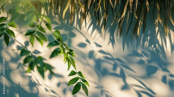 Fototapeta a picture of a tree with leaves on it