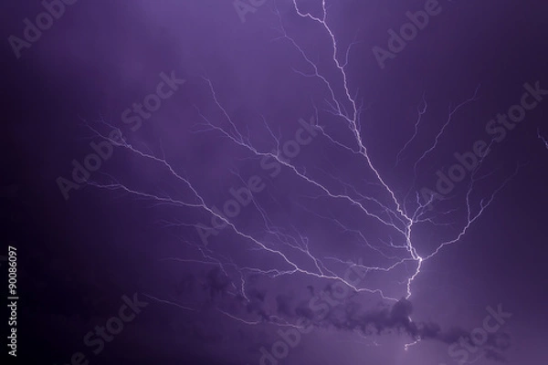 Fototapeta Lightning Branching