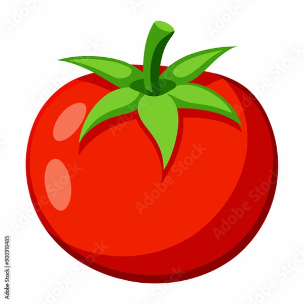 Fototapeta Tomato vector illustration 