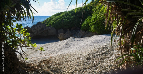 Obraz ナリサ浜（珊瑚の浜）、波照間島、沖縄県