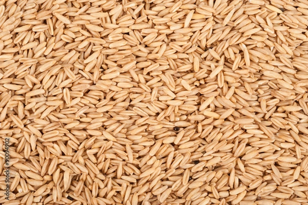 Fototapeta Background oats