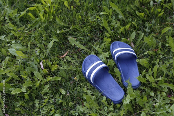 Fototapeta blue bathing slippers on grass