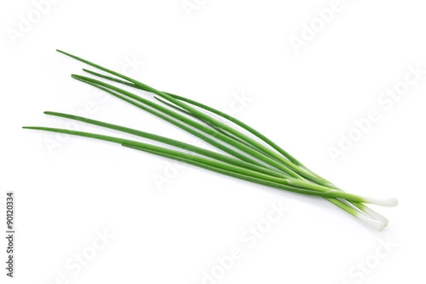 Obraz Green onion