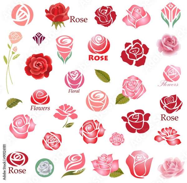 Obraz Elementy projektu róż