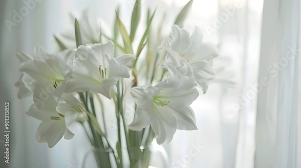 Fototapeta Serene White Lilies in Soft Daylight