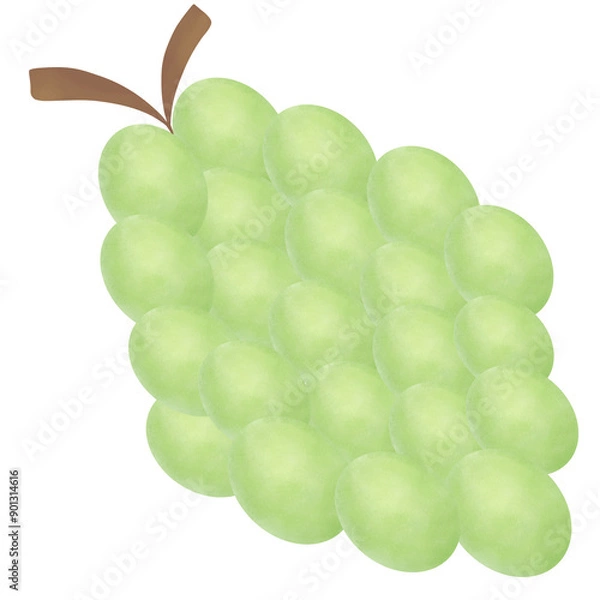 Obraz green grape isolated on white