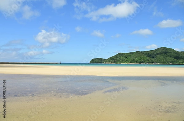 Fototapeta 海岸沿いの公園の景色