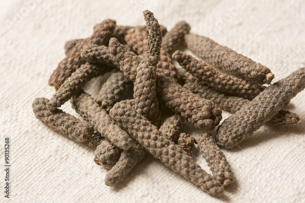 Obraz Long pepper