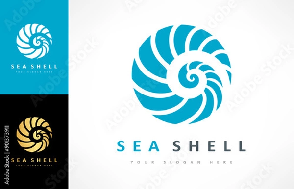 Obraz Seashell logo vector. Nature design.
