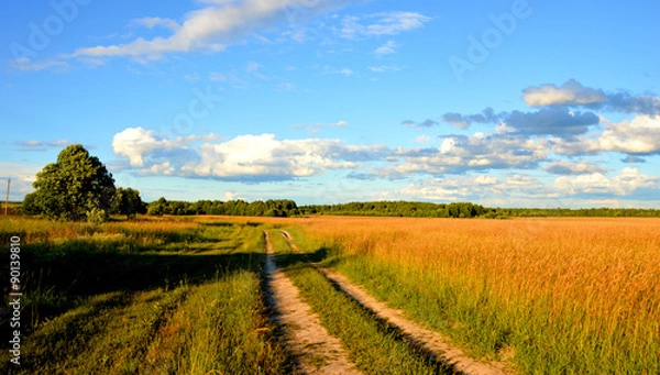 Obraz Наше лето