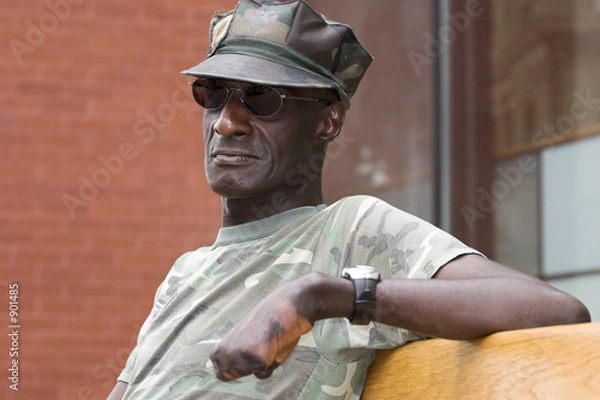 Obraz vietnam veteran