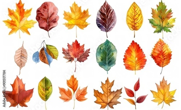 Fototapeta カラフルな秋の落ち葉