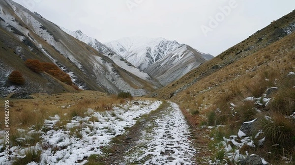 Obraz snow covered mountains in winter