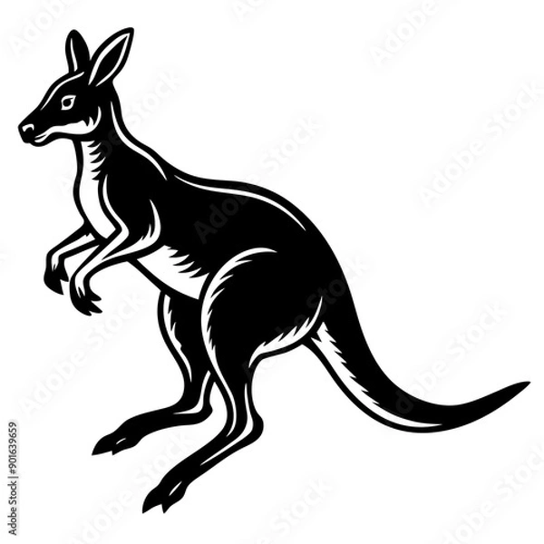 Obraz kangaroo illustration