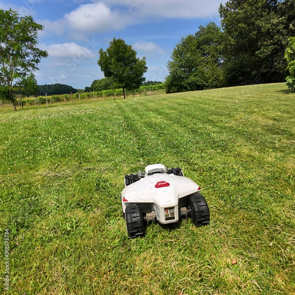 Obraz Jardin et robot tondeuse