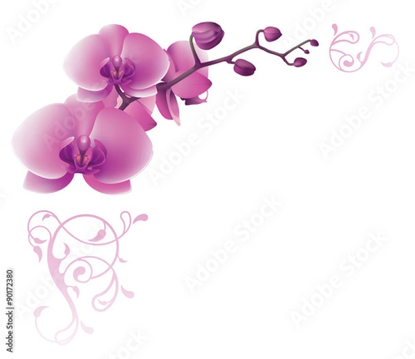 Obraz Invitation card with flower