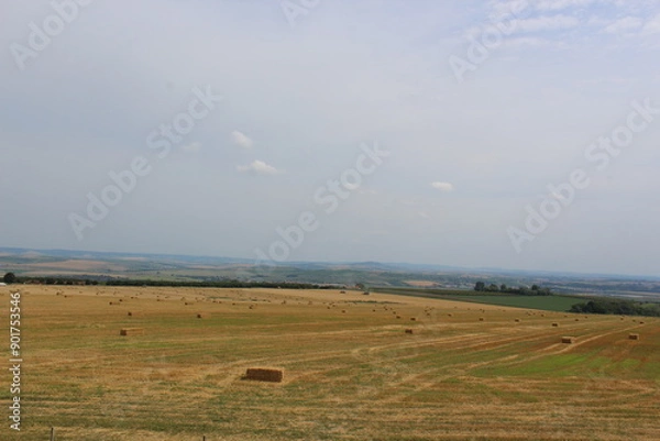 Obraz landscape in the summer