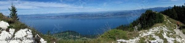 Fototapeta le lac léman, panorama
