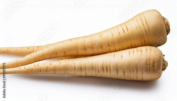 Obraz carrot on a white background