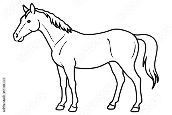 Fototapeta Horse line art illustration Design Concepts
