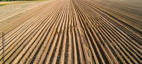 Fototapeta Aerial View of Deep Tillage Field with Evenly Turned Rows for Agricultural Purposes