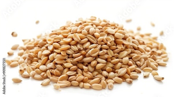 Fototapeta Close-up of Organic White Sesame seeds (Sesamum indicum) or white Til with shell in white ceramic bowl with the gradient background of White Sesame seeds. Close-up of Organic White Sesame seed
