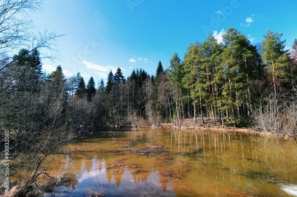 Obraz lake in the mountains