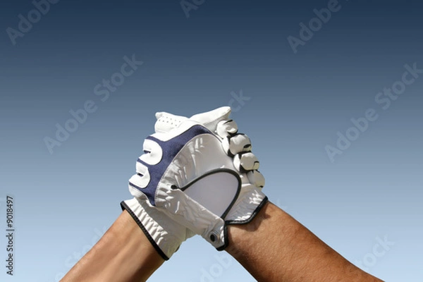 Obraz Golf - Partner