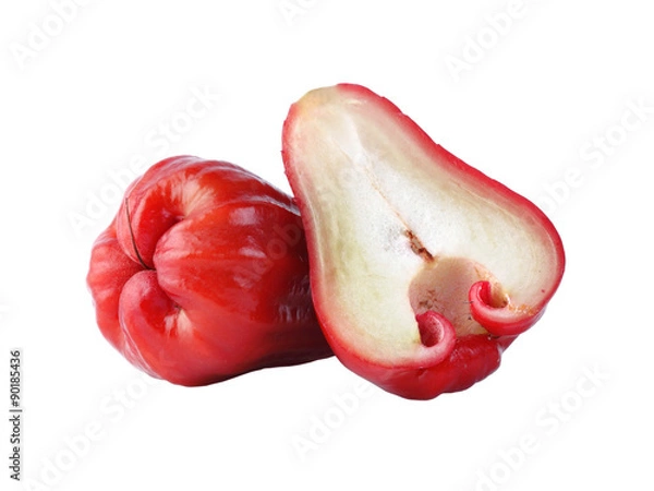 Fototapeta Rose apples or chomphu isolated on white background