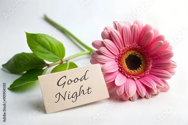 Fototapeta Flower with good night sign on white background