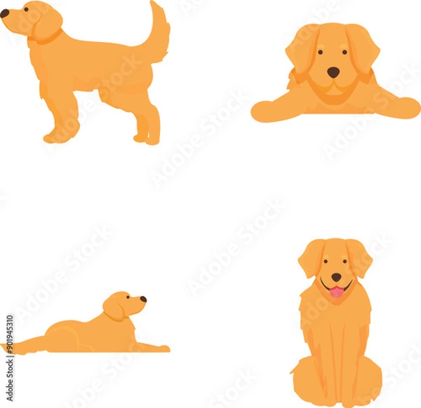 Fototapeta Collection of playful golden retriever illustrations in various poses isolated on white