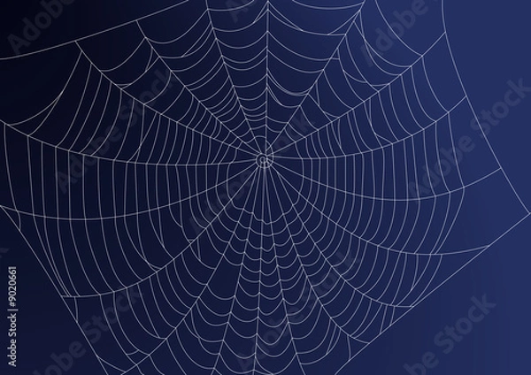 Obraz Spideweb illustration