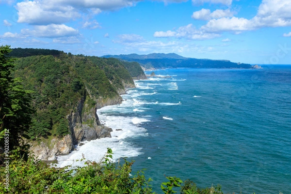 Obraz 鵜の巣断崖から望むリアス式海岸