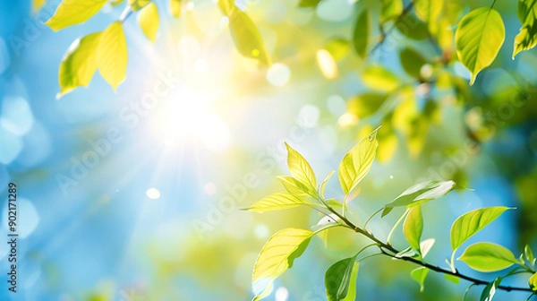 Fototapeta A fresh spring blue sunny sky background with blurred warm sunny glow.
